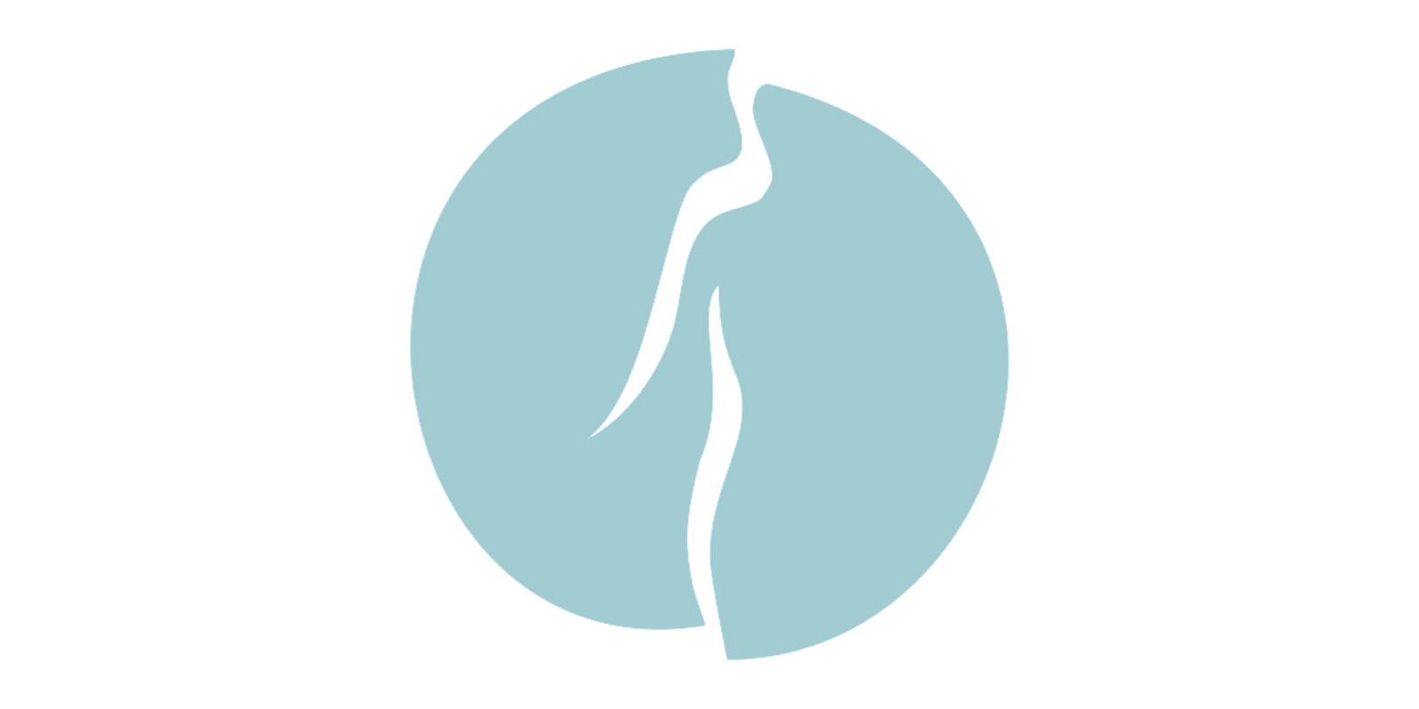 logo andreia